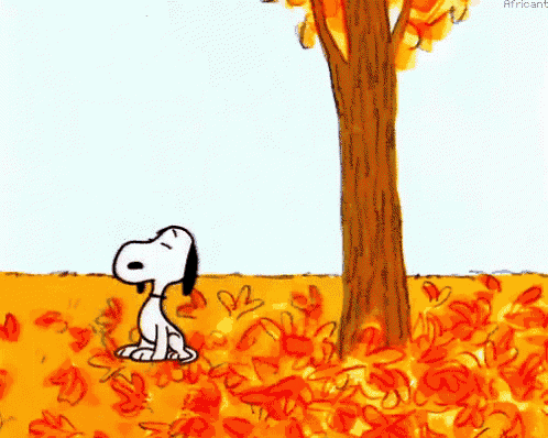 A Gif of snoopy