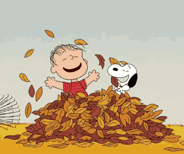 Fall leaves
