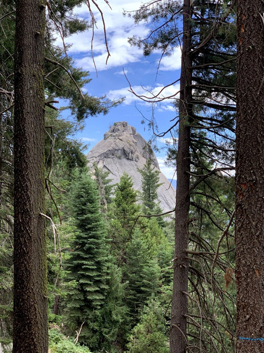 sequia mountain