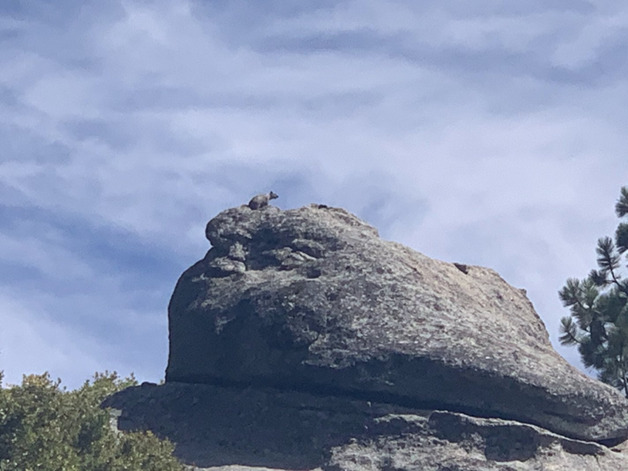yosemite mountain