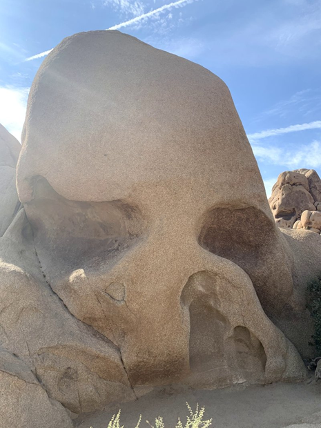 A desert rock that looks like a face