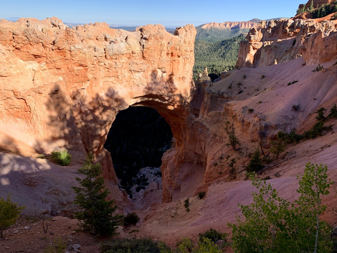 Bryce Canyon landscape