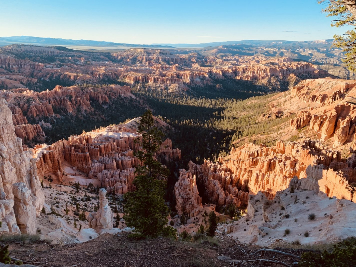 Bryce Canyon hoodoos