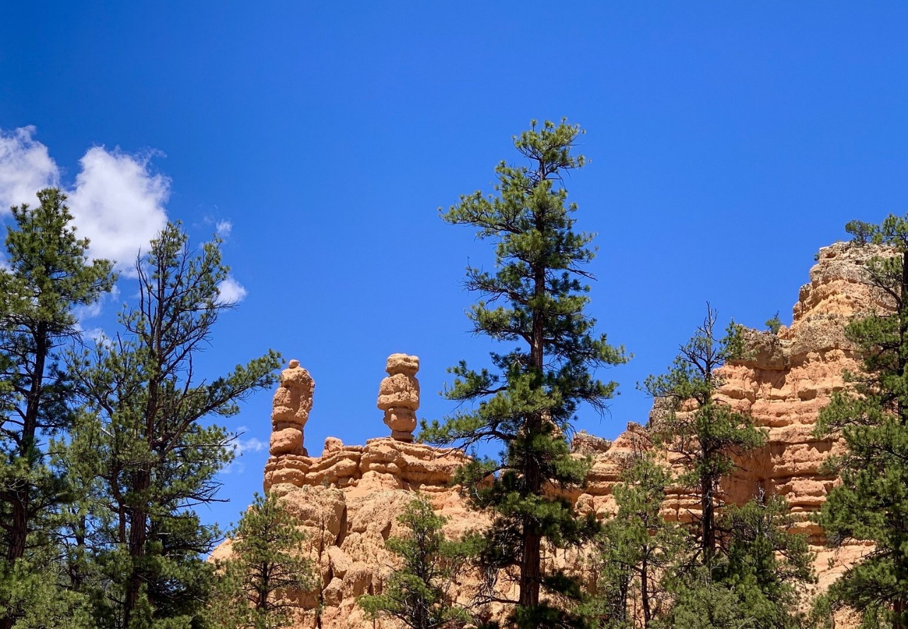 Zion scenic landscape